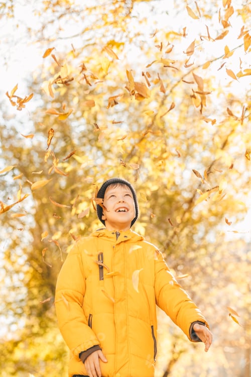 Preview: boy in a yellow jacket, scatters leaves in an autumn park. The child rejoices in the autumn leaves.