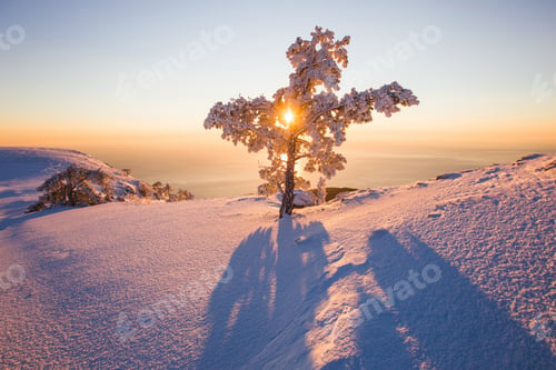 Preview: Majestic sunrise in the winter mountains landscape