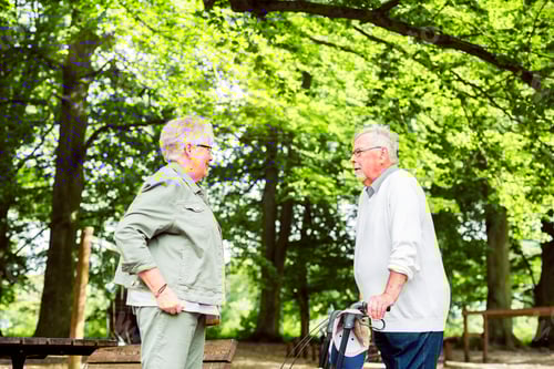 Preview: Senior couple talking in park