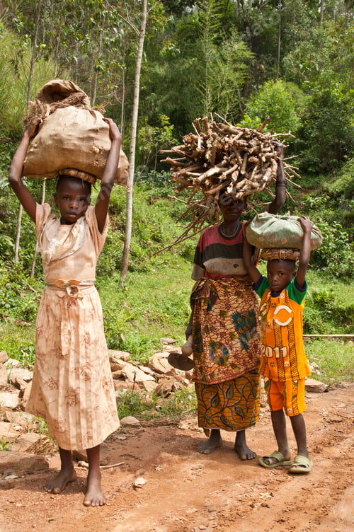 Preview: Family carrying firewood through a lush green landscape