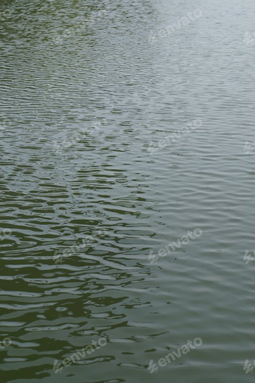 Preview: Green Lake Background
