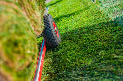 Preview: Creating New Grass Field
