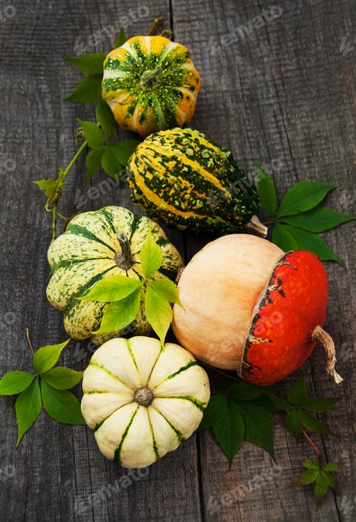 Preview: Pumpkins with autumn leaves