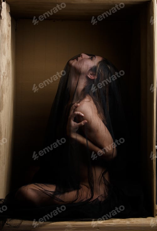 Preview: Sensual model under veil sitting in box