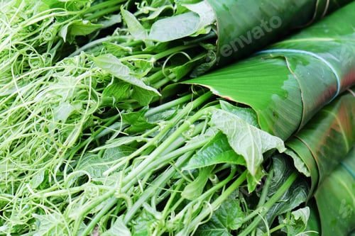 Preview: fresh chayote in market