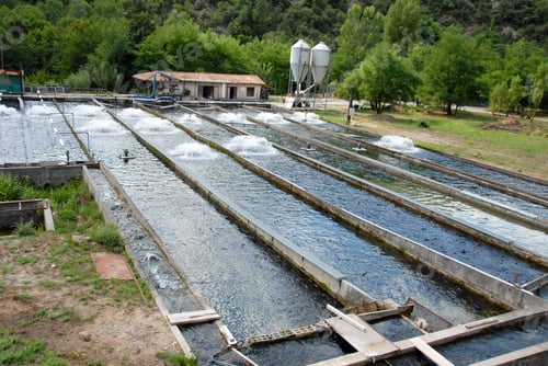 Preview: fish farming in France