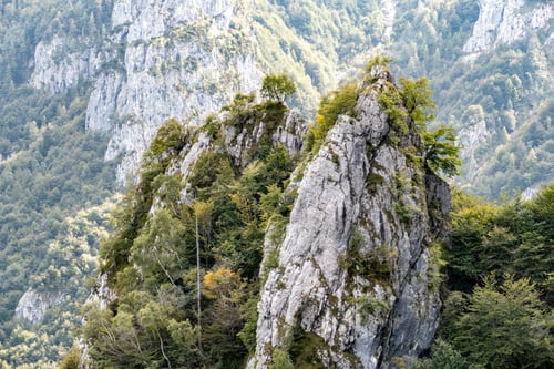 Preview: Cliff covered with lush greenery