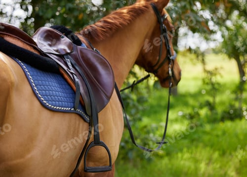 Preview: Sometimes a wild horse needs to feel that his rider