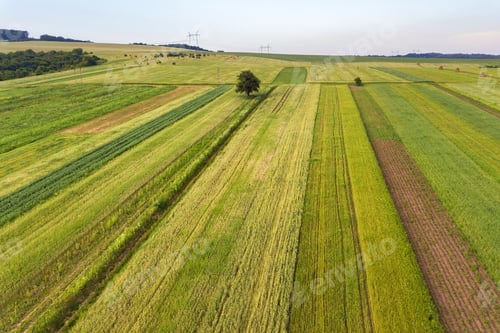 Preview: Aerial view of green agriculture fields in spring with fresh vegetation after seeding season.