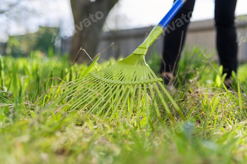 Preview: Spring cleaning in the garden, closeup rake cleaning green grass