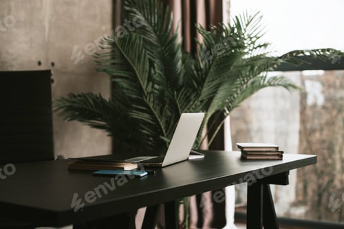 Laptop on Desk with Books and Plant