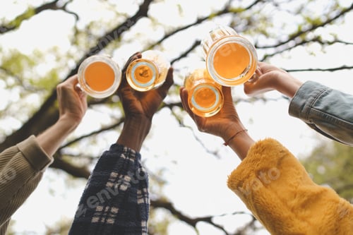 Preview: Group of young people having fun toasting with beers together