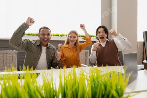 Preview: Excited business team celebrating success in office meeting