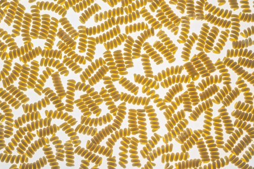 Preview: Raw fusilli pasta
