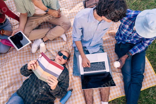 Preview: High angle view of diverse students studying together on a picnic blanket outdoors.