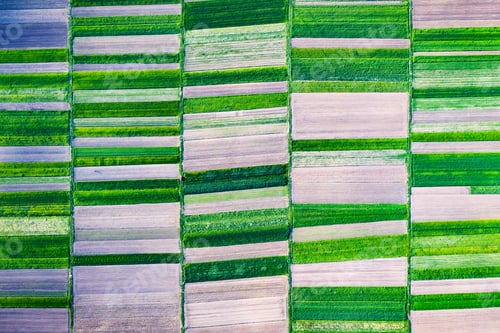 Preview: Aerial drone top view flight over green garden fields