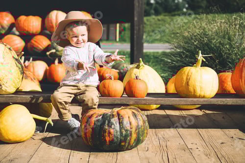 Preview: Child picking pumpkins at pumpkin patch.