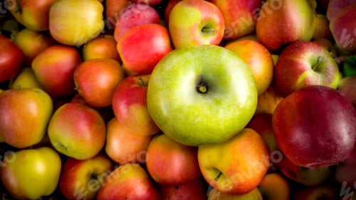 Preview: Closeup of one green apple lying on pile of red apples