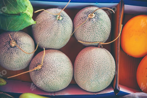 Preview: Melon placed on the fruit panel at the market