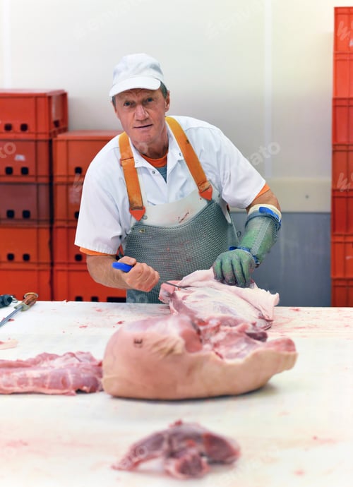 Preview: Processing of pig carcasses in a slaughterhouse