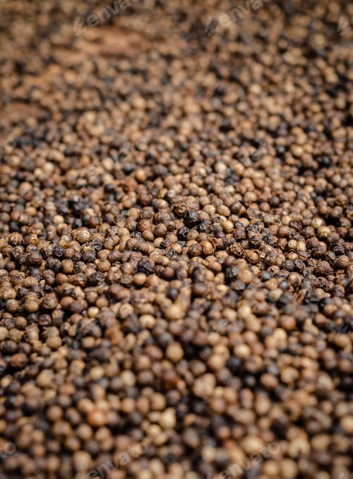 Preview: close-up of kampot pepper peppercorns drying in cambodia