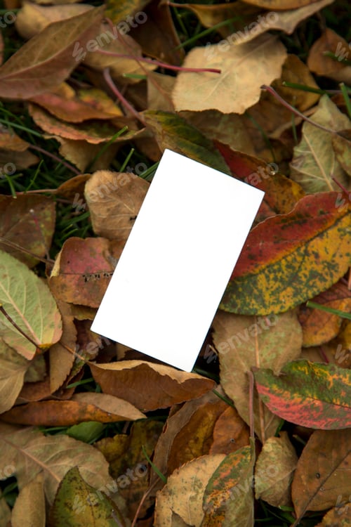 Preview: Blank Card on Colorful Fall Leaves and Grass
