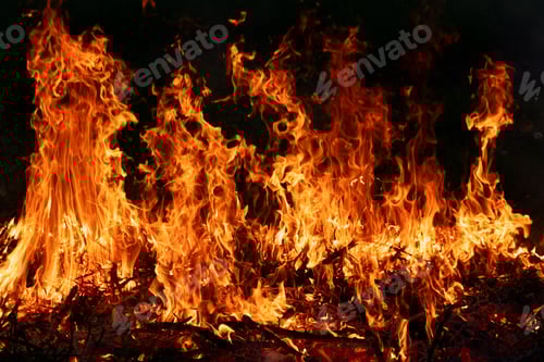 Preview: Fire on black background