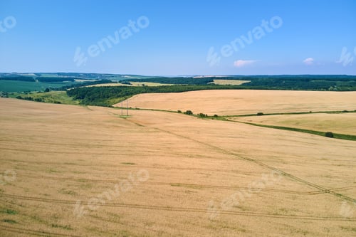 Preview: Aerial landscape view of yellow cultivated agricultural field with ripe wheat