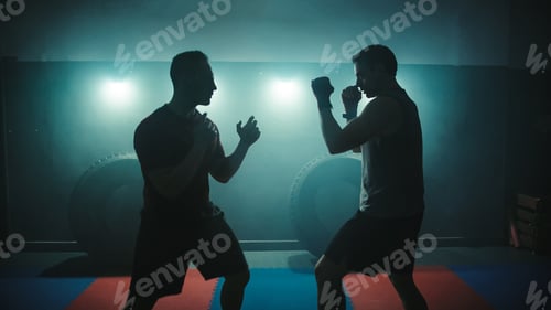 Preview: Fighters Training Silhouette in the Gym