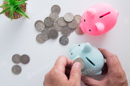 Preview: Saving Money with Pink and Blue Piggy Banks