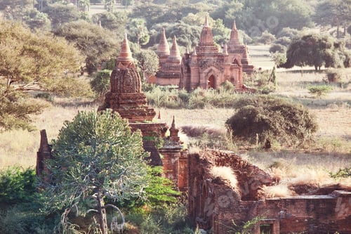 Preview: Bagan