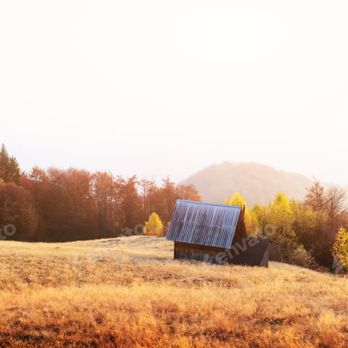 Preview: Picturesque autumn meadow with wooden house