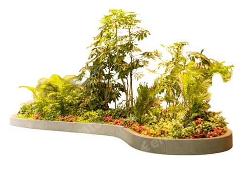 Preview: A garden bed displays different kinds of green plants and tropical foliage