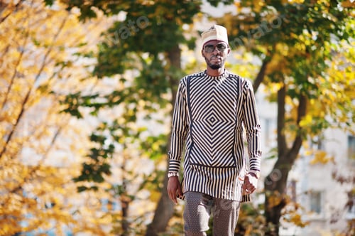 Preview: Portrait of stylish black african american man