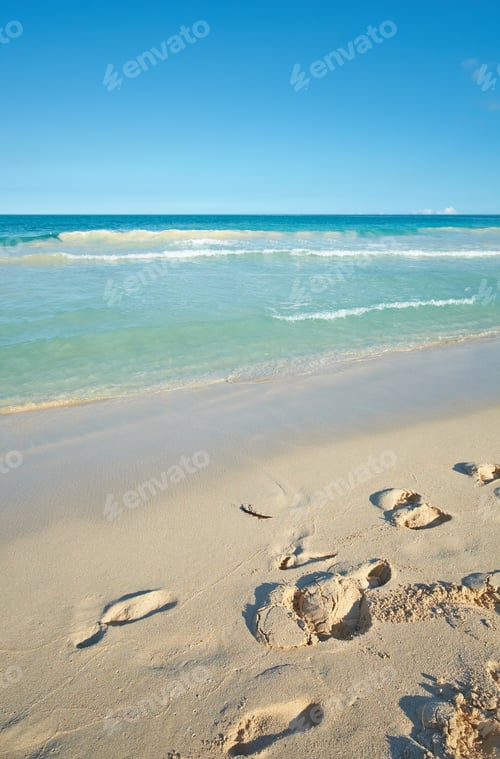 Preview: The beauty of nature