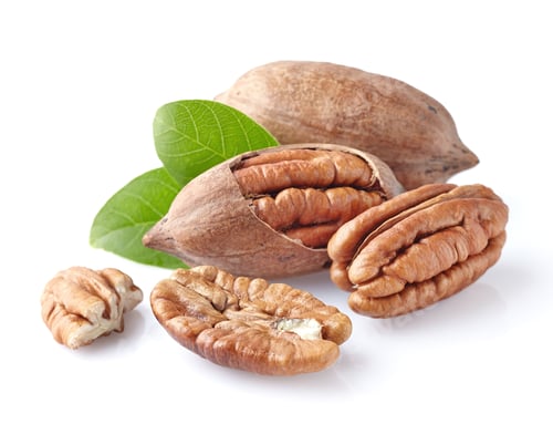 Preview: Pecan nuts with leaves