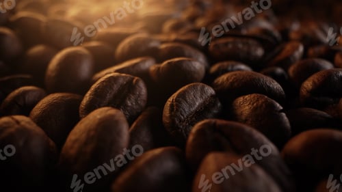 Preview: Fresh Organic Macro Of Robusta Coffee Beans. Premium Blend Fro Espresso Drink