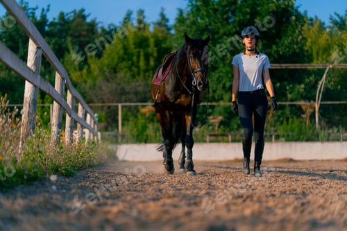 Preview: A helmeted rider leads her beautiful black horse by the harness in the riding arena horseback ride