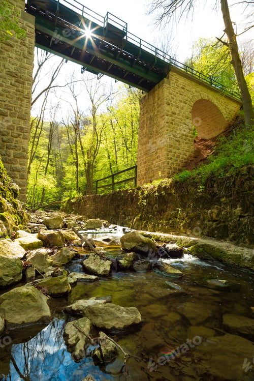 Preview: Flowing stream in the beautiful green forest under the viaduct