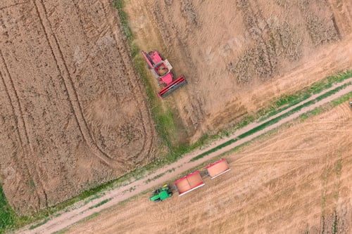 Preview: Combine harvester on the wheat field