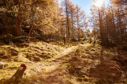 Preview: Family hiking, Schnalstal, South Tyrol, Italy