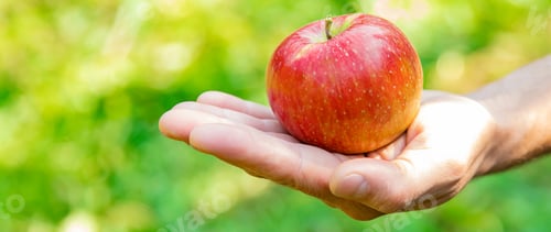 Hand Holding a Fresh Red Apple Outdoors