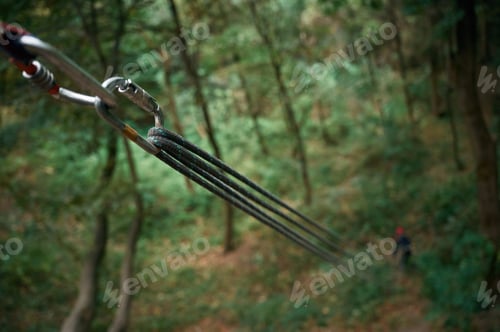 Preview: Climbing ropes are set in the green forest. Woman are far on the ground