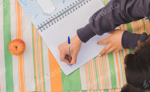 Preview: Student studying during the picnic in the park