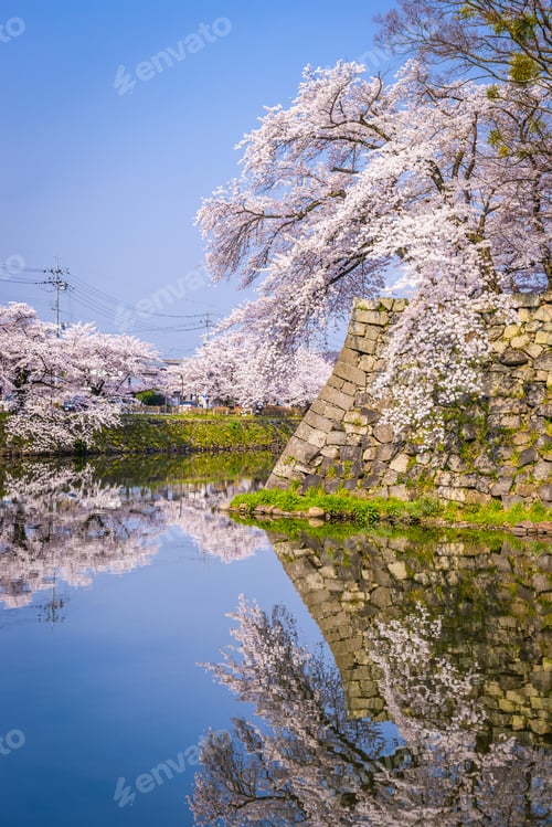 Preview: Hikone Castle Moat