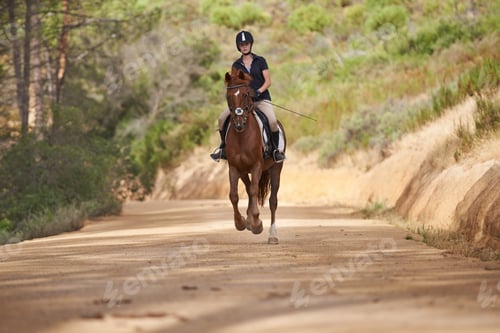 Preview: Experiencing nature on horseback