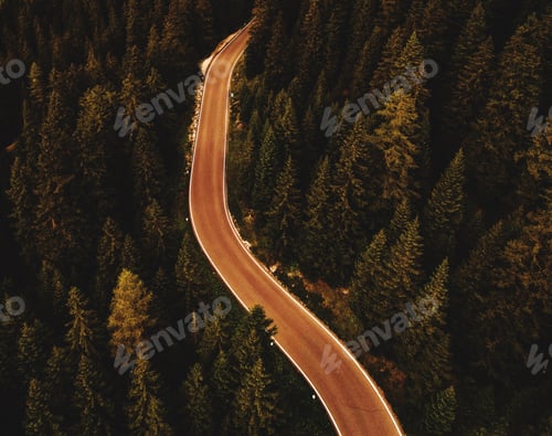 Preview: Road through the forest