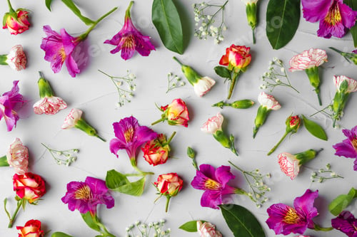 Preview: Background of fresh flowers with copy space