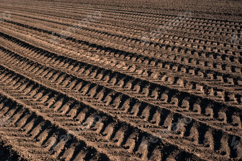 Preview: plowed land of the agricultural field during the preparation
