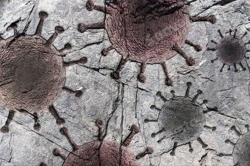 Preview: Closeup shot of Coronavirus fossils